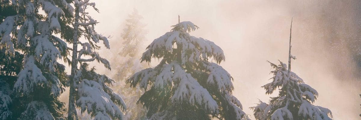 Computer & Electronics